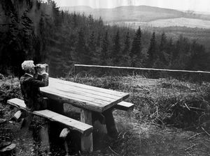 Supporting image for story: Celebrating 100 years of Cannock Chase, its five million trees and hundreds of happy memories