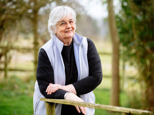 Supporting image for story: Farmer: It's time to challenge the move to veganism