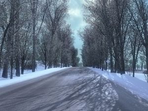 Supporting image for story: Shropshire Council offers advice as colder weather is set to sweep in 