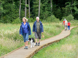 Supporting image for story: Treat for wildflower meadow fans as Colemere boardwalk is completed