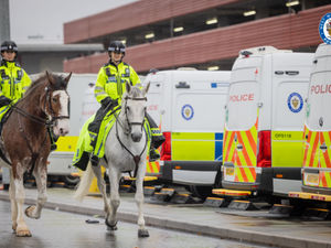 Supporting image for story: “This is a moment in history for West Midlands Police" - Horses return to the force for first time since 1999