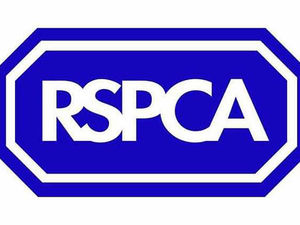 Supporting image for story: RSPCA in warning to Telford pet owners after poisoned cats die