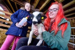 Supporting image for story