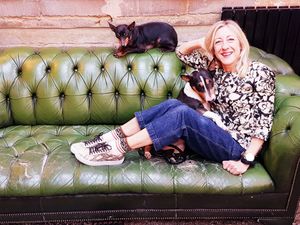 Supporting image for story: Could your dog have its day? How to get into dog showing