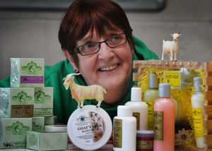 Supporting image for story