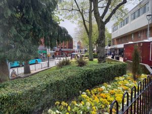 Supporting image for story: Wilko decision is massive blow to Sutton Coldfield, says councillor