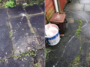 Supporting image for story: Smethwick fly-tippers caught 'pink-handed' - by trail of paint leading back to house