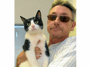 Supporting image for story: Wayward cat Rupert now reunited with Whitchurch owners