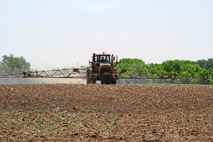 Supporting image for story: Pesticide 'grandfather rights' to be axed