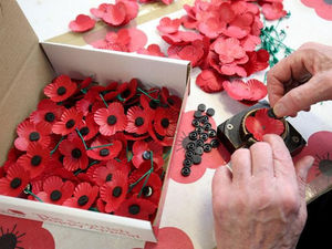 Supporting image for story: 'Despicable' thieves snatch seven Poppy Appeal donation boxes across Wolverhampton