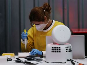 Supporting image for story: Covid-19 reinfection is rare, but more common for those above age 65 – study