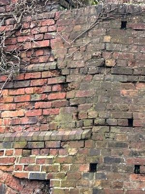 The "dangerous" retaining wall on a neighbouring council property which has forced the closure of the Cliff Railway