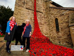 Supporting image for story: Waterfall of poppies at Cleobury Mortimer church to remember war