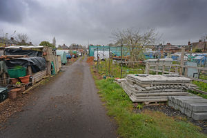 The Wood Green Allotments have been repeatedly vandalised.