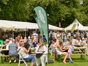 Supporting image for story: Festival organisers call for 'little help from friends' after 'devastating' Covid-19 losses