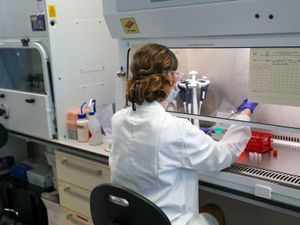 Supporting image for story: Three more hospital patients die from coronavirus in region