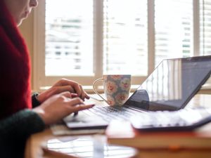 Supporting image for story: Lockdown highlighted digital divide in Britain, MPs told