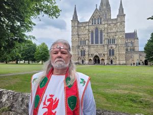 Supporting image for story: Vote for me as your champion, says senior druid standing to be MP