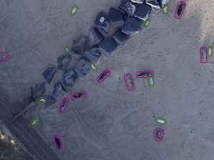 AI analysis of drone images taken in a Natural England pilot project to count seals along a stretch of coastline