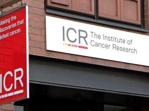 Supporting image for story: Scientists predict time before cancer becomes drug resistant – study