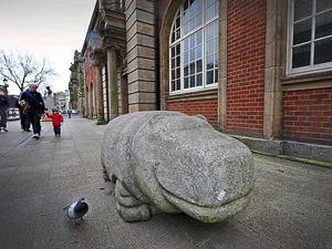 Supporting image for story: Landmark Walsall 'Hoppy' the Hippo moves into new home
