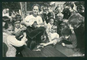 Supporting image for story: 'This just shows if it's not broke don't fix it' - Your Letters: August 4