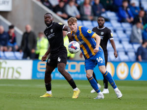 Supporting image for story: Steve Cotterill praises Shrewsbury striker Rob Street's work ethic