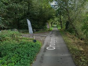 Supporting image for story: Forest school and events venue in woodland granted planning permission despite opposition