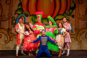 The cast of Cinderella are ready to welcome panto fans to the Lichfield Garrick. Photo: Mease Valley Photography