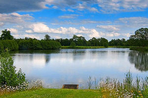Supporting image for story: Dearnford Lake can keep name after historic home owner gives permission