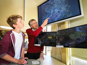 Supporting image for story: £10,000 grant allows cameras to be used to watch Shropshire heron colony