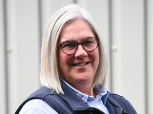 Supporting image for story: Herd health testing for BVD