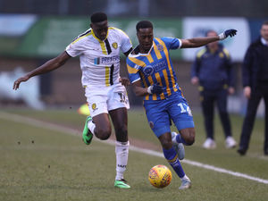 Supporting image for story: Shrewsbury Town 1 Burton 1 - Match highlights