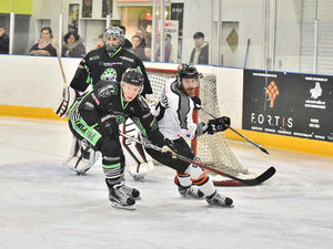 Supporting image for story: Telford Tigers continue streak with win over Hull Pirates