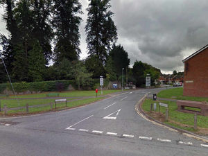 Supporting image for story: Welshpool man fined £75 over dog poo left in street