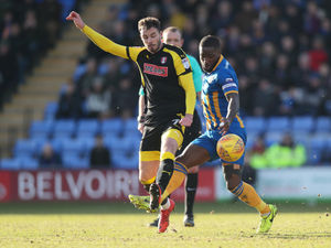 Supporting image for story: Shrewsbury 0 Rotherham 1 - Report and pictures 