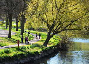 Strolling in the sunshine at The Quarry, Shrewsbury