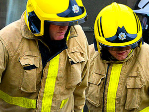 Supporting image for story: Telford firefighters to the rescue fox trapped in wire fence