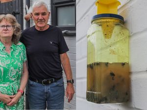 Supporting image for story: West Midlands: "Nightmarish" fly infestation leaving locals “gagging and choking” and unable to open windows