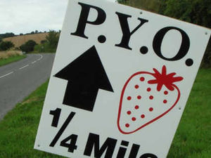 Supporting image for story: Enjoying the fruits of your labours