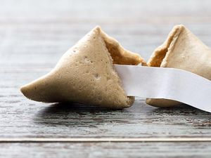 Supporting image for story: 13 fortune cookies that aren’t helpful at all