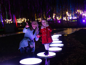Supporting image for story: National Memorial Arboretum’s winter light experience opens to public