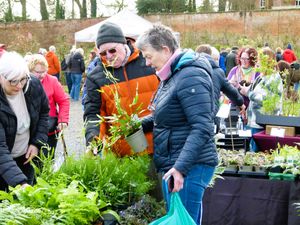 Sugnall Walled Garden Spring Plant Hunters Fair takes place on Sunday 29th March