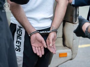 Supporting image for story: ‘Explosives cache’ incident that sparked antisemitism fears was faked – police