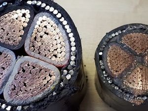 Supporting image for story: Valuable copper cables stolen in Telford factory break-in