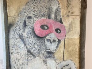 Supporting image for story