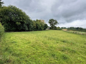 Half an acre of pastureland at Sarnau, Llanymynech which sold for £38,000.