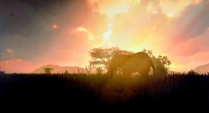 A still from Nature Treks VR