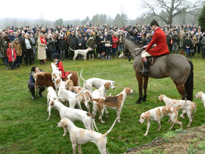 Supporting image for story: GALLERY: Boxing Day hunt attracts crowd amid vow over legislation 