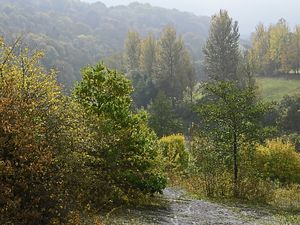 Supporting image for story: £80,000 funding for Bridgnorth park project